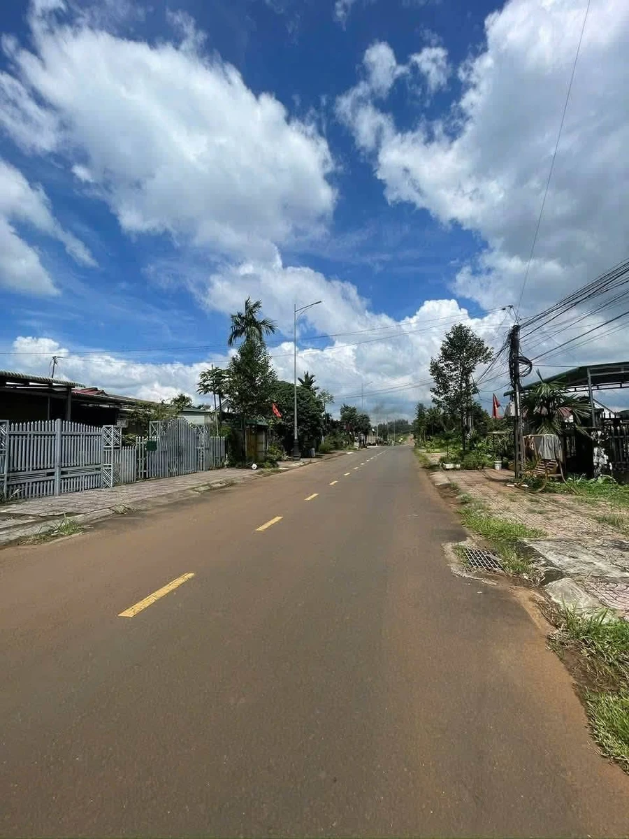 Đất mặt đường 5x50m 250m² tại Lâm Đồng, 1 tỷ - Ảnh thu nhỏ 4