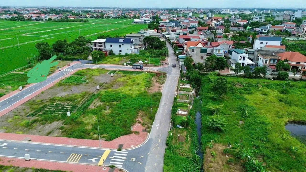 Bán lô đất 103,5m² mặt tiền 4,5m Tân Trường Hải Phòng - Ảnh thu nhỏ 4