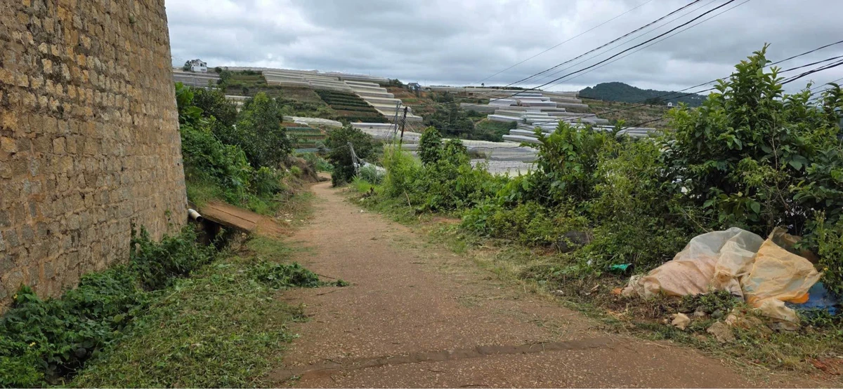 Bán đất 1672m² (200m² thổ cư) Xuân Thọ, Nhà Bè - Ảnh thu nhỏ 4