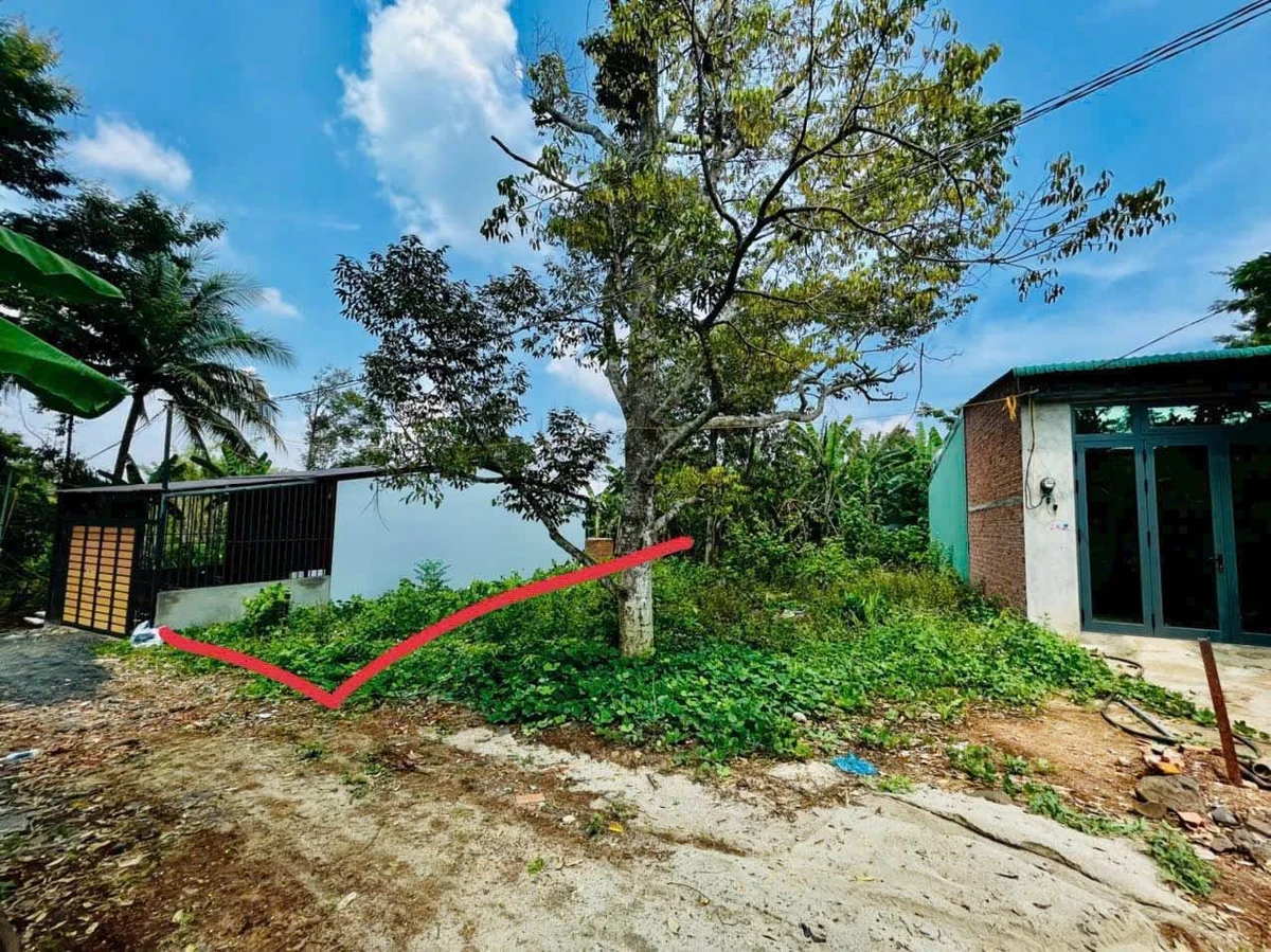 Bán đất hẻm 66 Mai Thị Lựu, Ea Tam, 100m² - 450 triệu - Ảnh thu nhỏ 3
