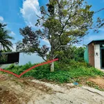 Bán đất hẻm 66 Mai Thị Lựu, Ea Tam, 100m² - 450 triệu - Ảnh thu nhỏ 3