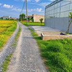 Bán đất 1000m2 Mỹ Hạnh Nam Bình Chánh 3 tỷ 800 - Ảnh thu nhỏ 2