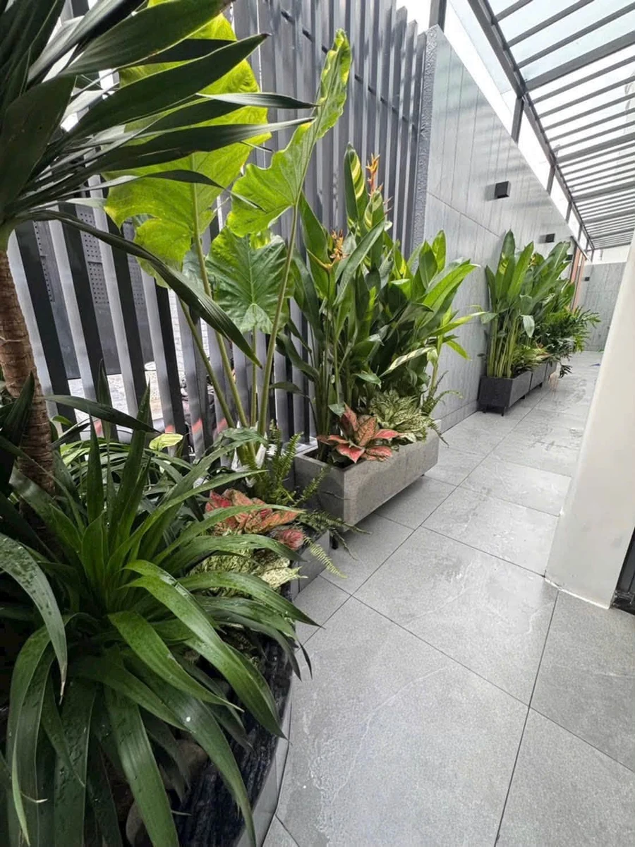 Bán nhà 6 tầng mới 75m² Đường Số 1 gần Cityland, Gò Vấp, giá 10,9 tỷ - Ảnh thu nhỏ 5