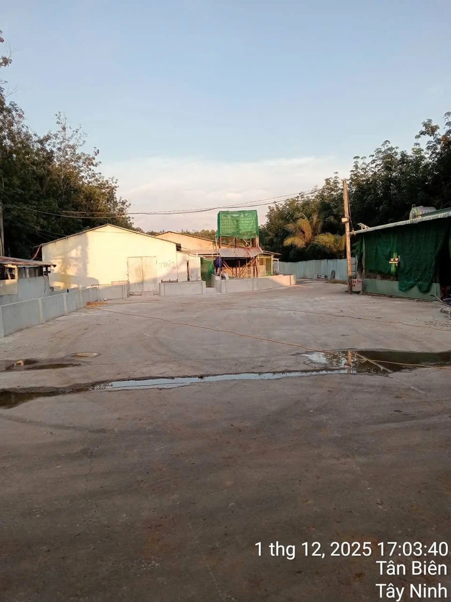 Bán trại heo 13.584 m² tại Tây Ninh, 11 tỷ - Ảnh thu nhỏ 4