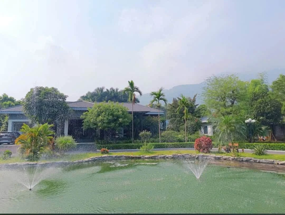 Bán biệt thự 5200m² Cư Yên Lương Sơn 35 tỷ - Ảnh thu nhỏ 4