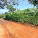 Bán đất hẻm Vành Đai 5x18m phường Ea Tam, giá 379 triệu - Ảnh thu nhỏ 2