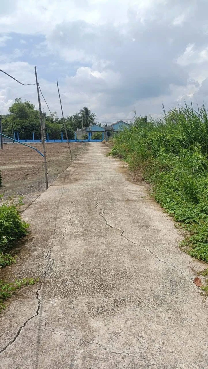 Bán nhà vườn 1622m² Xã Long Khê 6 tỷ 200 triệu - Ảnh thu nhỏ 2