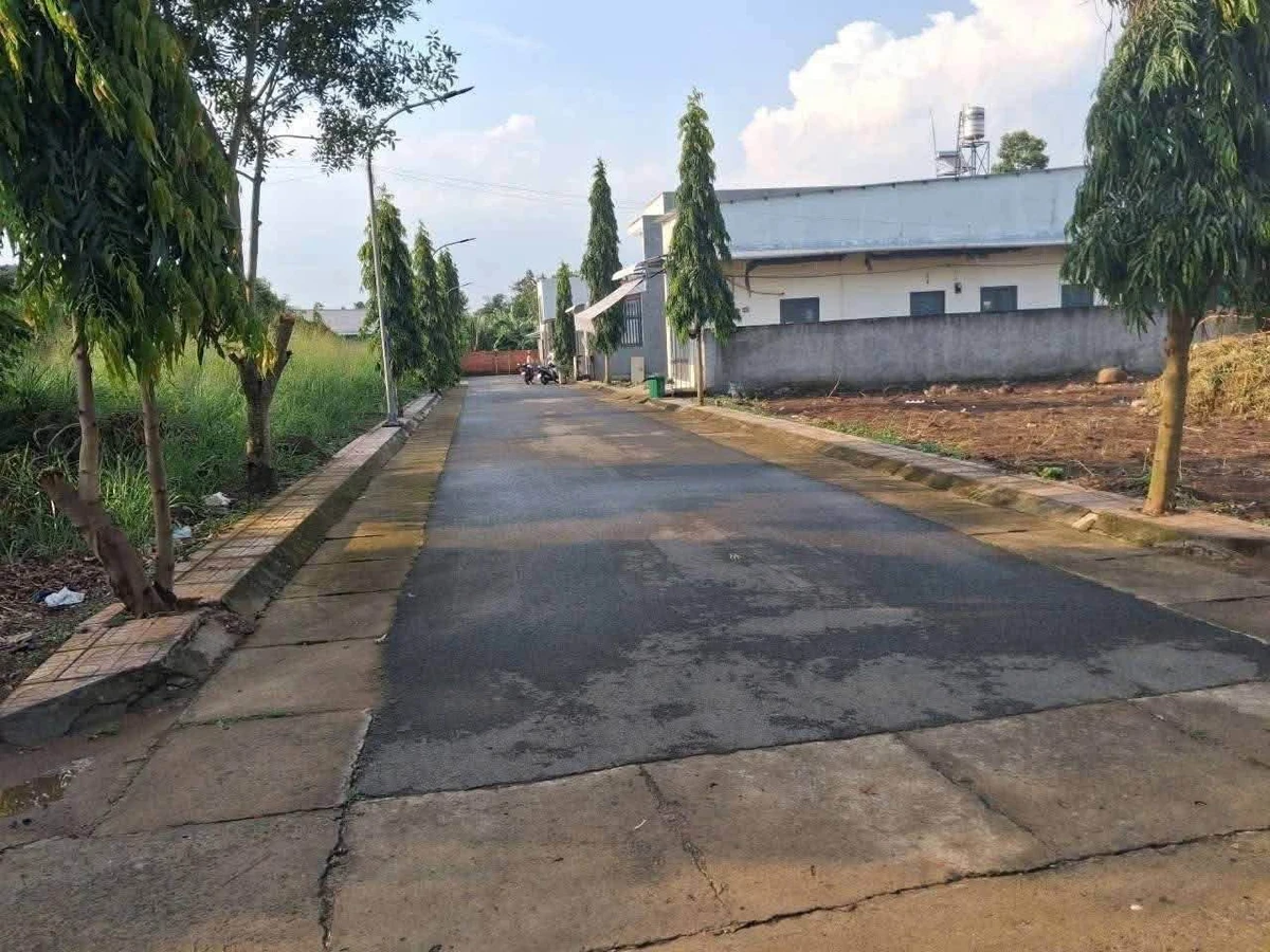 Bán đất lô góc 2 mặt tiền 118,8m² Bình Lộc Long Khánh - Ảnh thu nhỏ 3