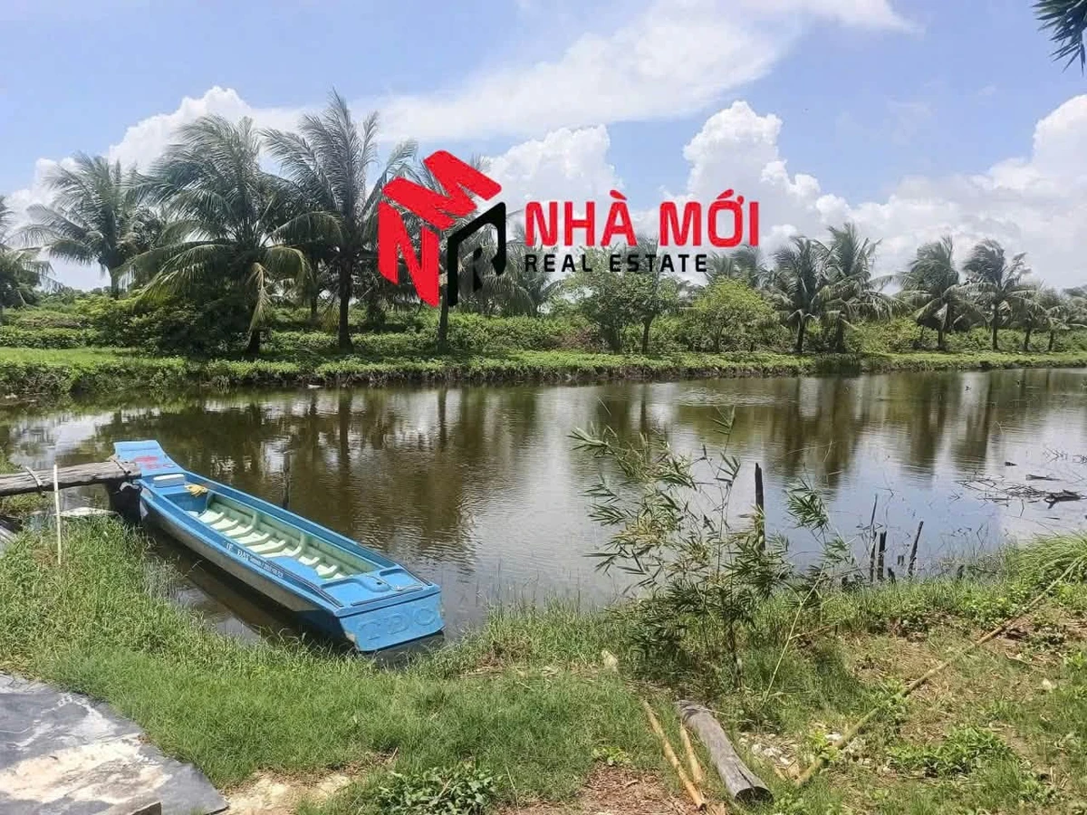 Bán đất vuông 36 công Ấp Cái Cám, Cà Mau - Ảnh 1