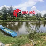Bán đất vuông 36 công Ấp Cái Cám, Cà Mau - Ảnh thu nhỏ 1