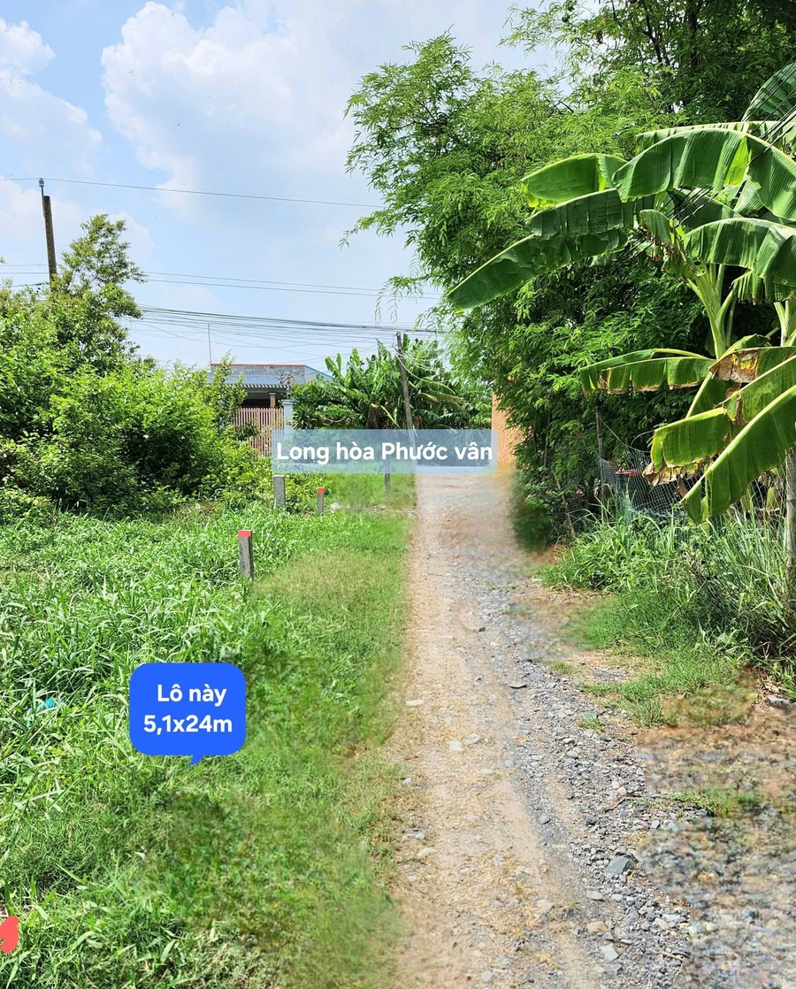 Bán đất thổ cư 124m² Tây Ninh, Cần Đước - Ảnh thu nhỏ 3