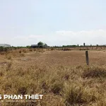 Bán đất mặt tiền 1.000m² Bình Thuận - 1 tỷ 250 triệu - Ảnh thu nhỏ 2