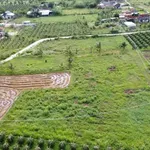 Bán lô đất 2.600m2 tại Hàm Liêm, Lâm Đồng - Ảnh thu nhỏ 1