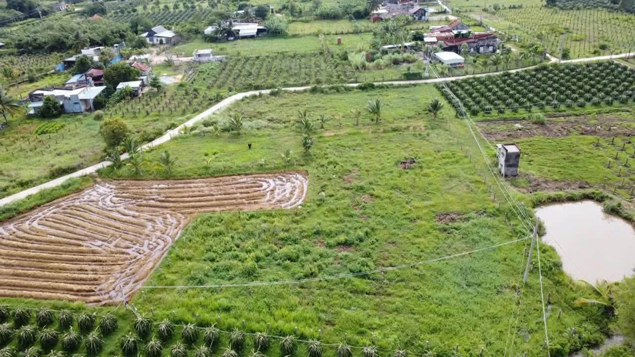 Bán lô đất 2.600m2 tại Hàm Liêm, Lâm Đồng - Ảnh 1
