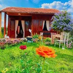 Bán nhà 2 phòng ngủ, 195m², Đắk Lắk, 999 triệu - Ảnh thu nhỏ 4
