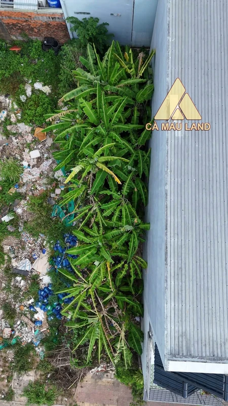 Bán nền đất Dương Thị Cẩm Vân Tân Thành 78m² 1 tỷ 4
