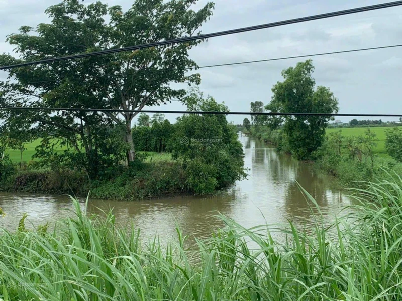 Cần bán 1,2ha đất ruộng tại Vàm Láng, đối diện cty Ống Thép. Giá 3tỷ500tr. LH: 0901 311 ***