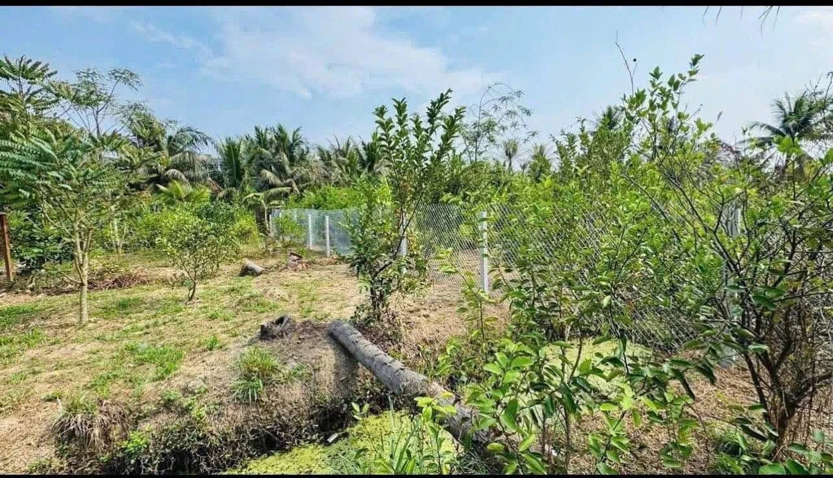 Bán đất Sơn Hòa 500m² giá 600 triệu - Ảnh thu nhỏ 3