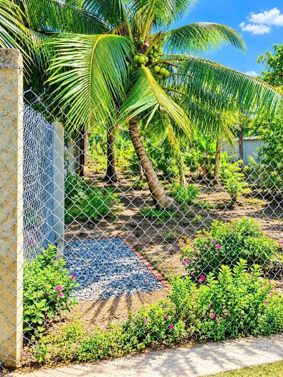 Bán nền đẹp Phú Khương 147m², 630 triệu - Ảnh thu nhỏ 4