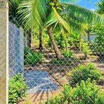 Bán nền đẹp Phú Khương 147m², 630 triệu - Ảnh thu nhỏ 4