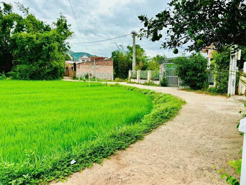 Bán nhà cấp 4 205,6m² Phước An 820 triệu