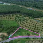Cần bán đất Lâm Đồng, giảm sâu cho ai mua nhanh vì cần bán gấp - Ảnh thu nhỏ 13