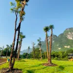 SIÊU PHẨM LẠC THỦY - GIÁP NINH BÌNH - CÁCH HÀ NỘI 65KM - Ảnh thu nhỏ 20