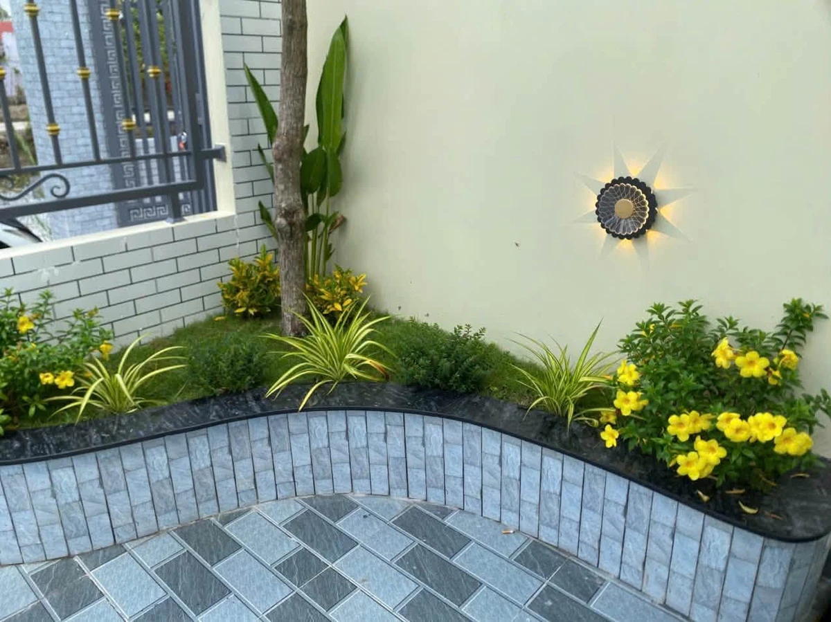 Bán nhà sân vườn 400m² 3 phòng ngủ Cần Giuộc Long An 3 tỷ 7 - Ảnh thu nhỏ 5
