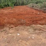 Bán đất 155m² (5x31m) Phường Bình Mỹ Tây, giá 920 triệu - Ảnh thu nhỏ 2