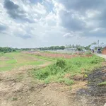 Bán đất An Nhơn, Châu Thành - đường thông từ cầu Nguyễn Huệ về Sa Đéc, cách chợ Cái Tàu Hạ 900m - Ảnh thu nhỏ 1