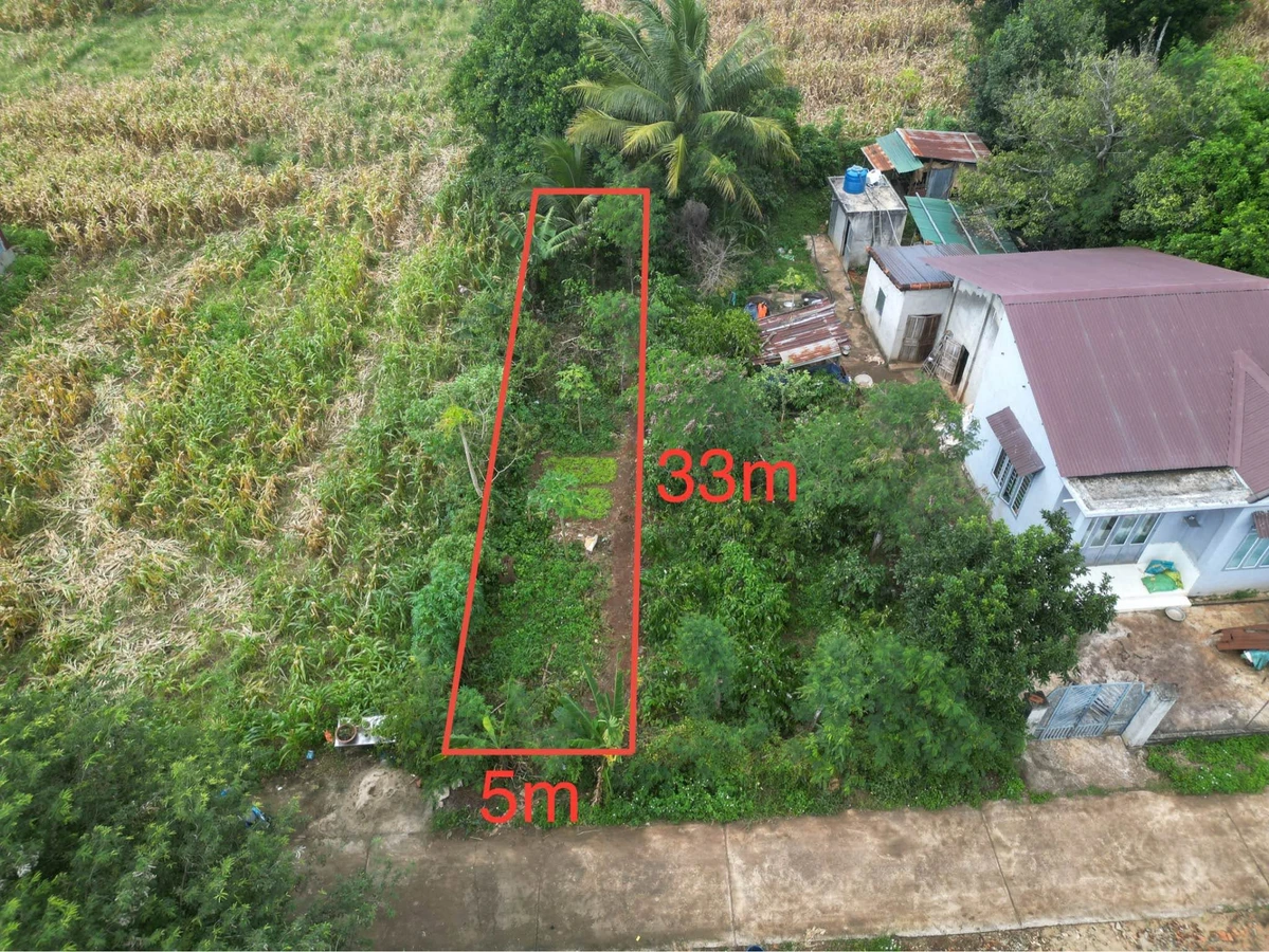 Bán đất Bình Chánh, 5x33m (165m²), 790 triệu - Ảnh thu nhỏ 5