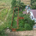 Bán đất Bình Chánh, 5x33m (165m²), 790 triệu - Ảnh thu nhỏ 5
