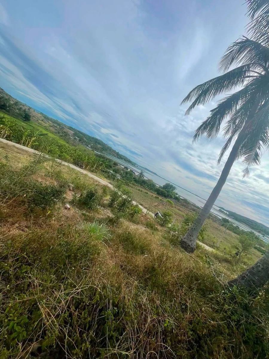 Bán đất 230m² view Đầm Ô Loan 3xx triệu - Ảnh 1