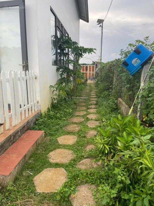 Bán nhà biệt thự nghỉ dưỡng DT 650m2, Thôn 13, Phường 2, TP Bảo Lộc, Lâm Đồng - Ảnh thu nhỏ 5