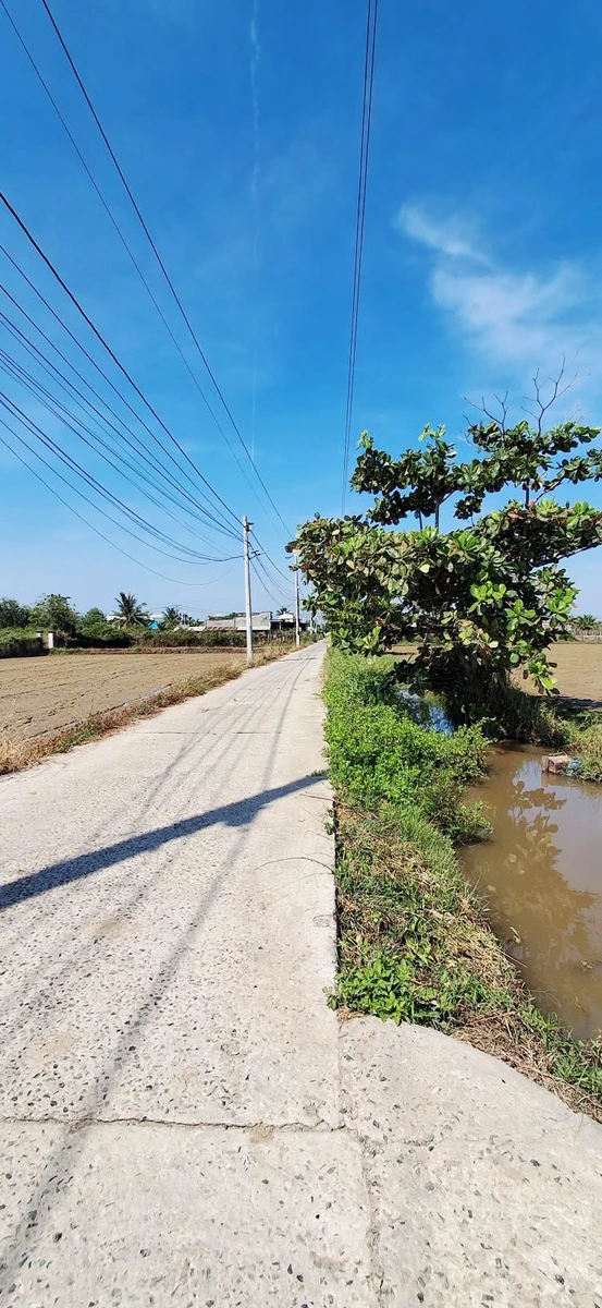 Bán đất thổ cư 250m² mặt tiền ô tô Phan Thiết - Ảnh 1