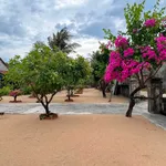 Bán nhà cấp 4 có sân vườn 166m2 gần biển, Phú Yên - Ảnh thu nhỏ 3