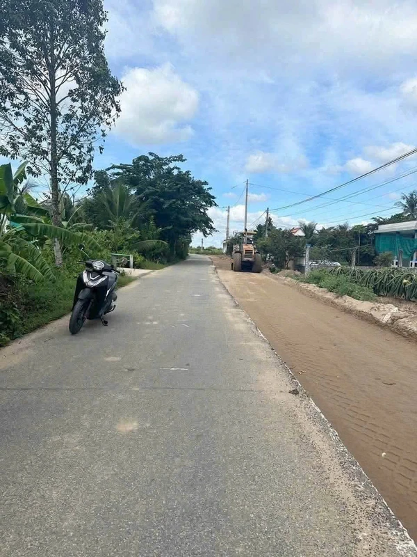Bán đất lúa chuyển thổ cư 2100m2 Long An