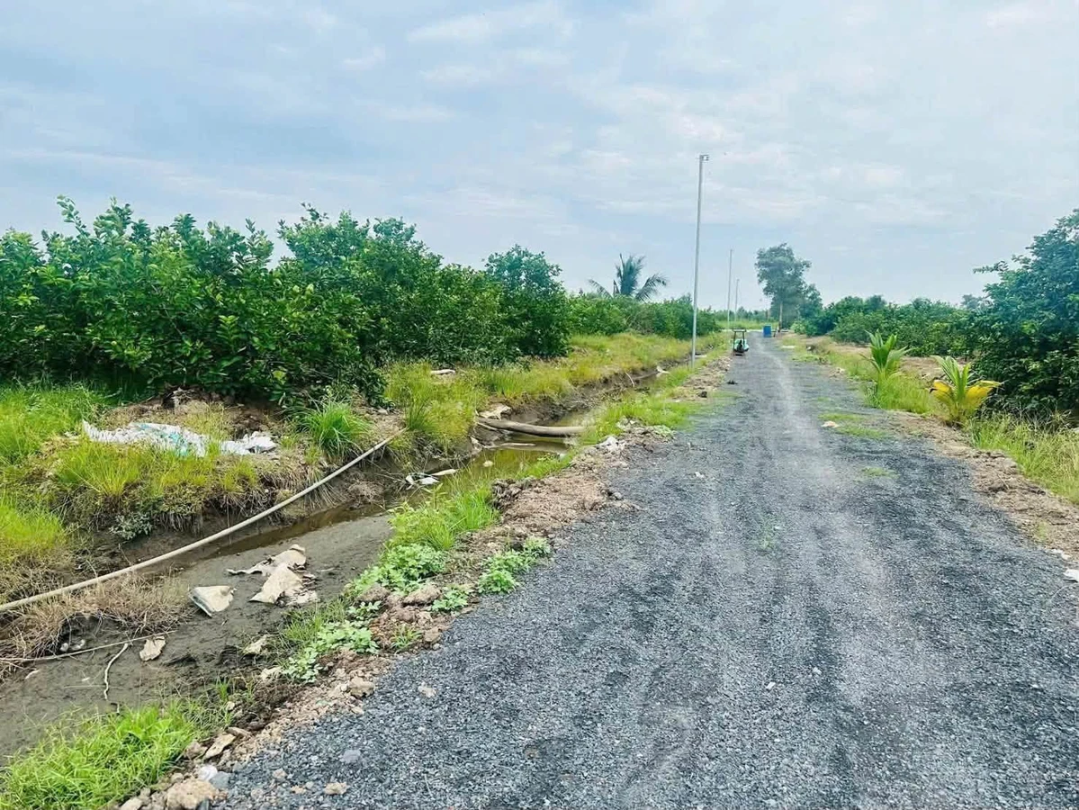 Bán đất vườn 500m2 giá 420 triệu, xã Thạnh Lợi (Thạnh Hòa, Bến Lức cũ), Tây Ninh - Ảnh thu nhỏ 3