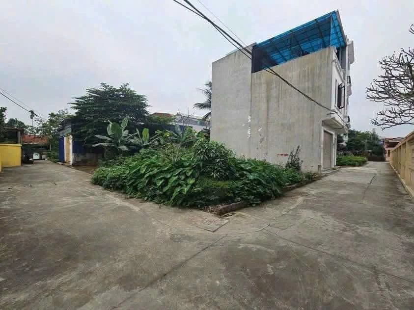 Bán đất 50m² Cát Linh 1,4 tỷ - Ảnh 1