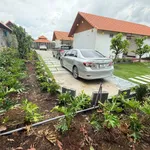 Nhà vườn mái ngói 1.900m² ven sông Vàm Cỏ Tây, Long An - 5.9 tỷ - Ảnh thu nhỏ 4
