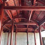 Bán nhà vườn 3 PN, 704 m² giá 2,7 tỷ Ea Kao, Đắk Lắk - Ảnh thu nhỏ 5