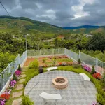 Bán nhà vườn 261m² 3 phòng ngủ, 2,9 tỷ Lâm Hà - Ảnh thu nhỏ 3