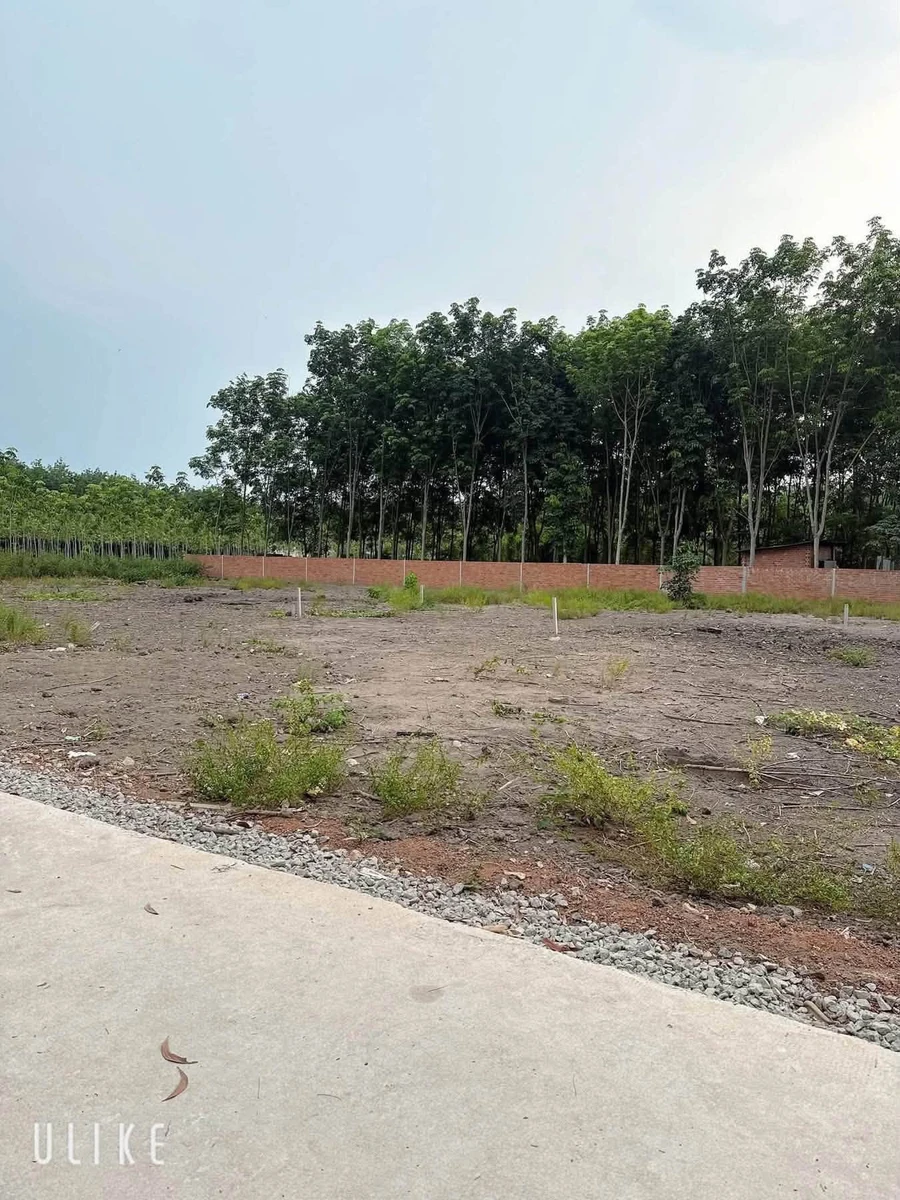 Bán 2 lô đất Tân Lập Bình Dương 340m², giá 600-650 triệu - Ảnh thu nhỏ 3