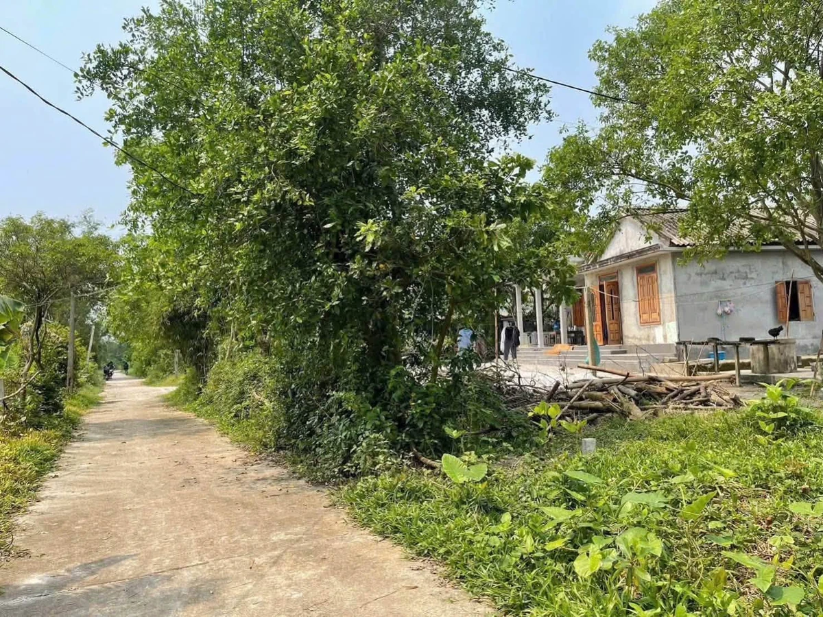 Bán đất 148m2 giá 169 triệu tại Đại Phú, Phong Chương, Huế - Ảnh thu nhỏ 5