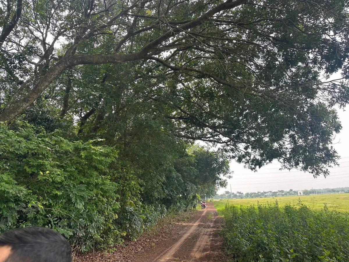 Bán đất Lai Uyên Bầu Bàng 10.600m2 hai mặt tiền 14 tỷ - Ảnh thu nhỏ 4