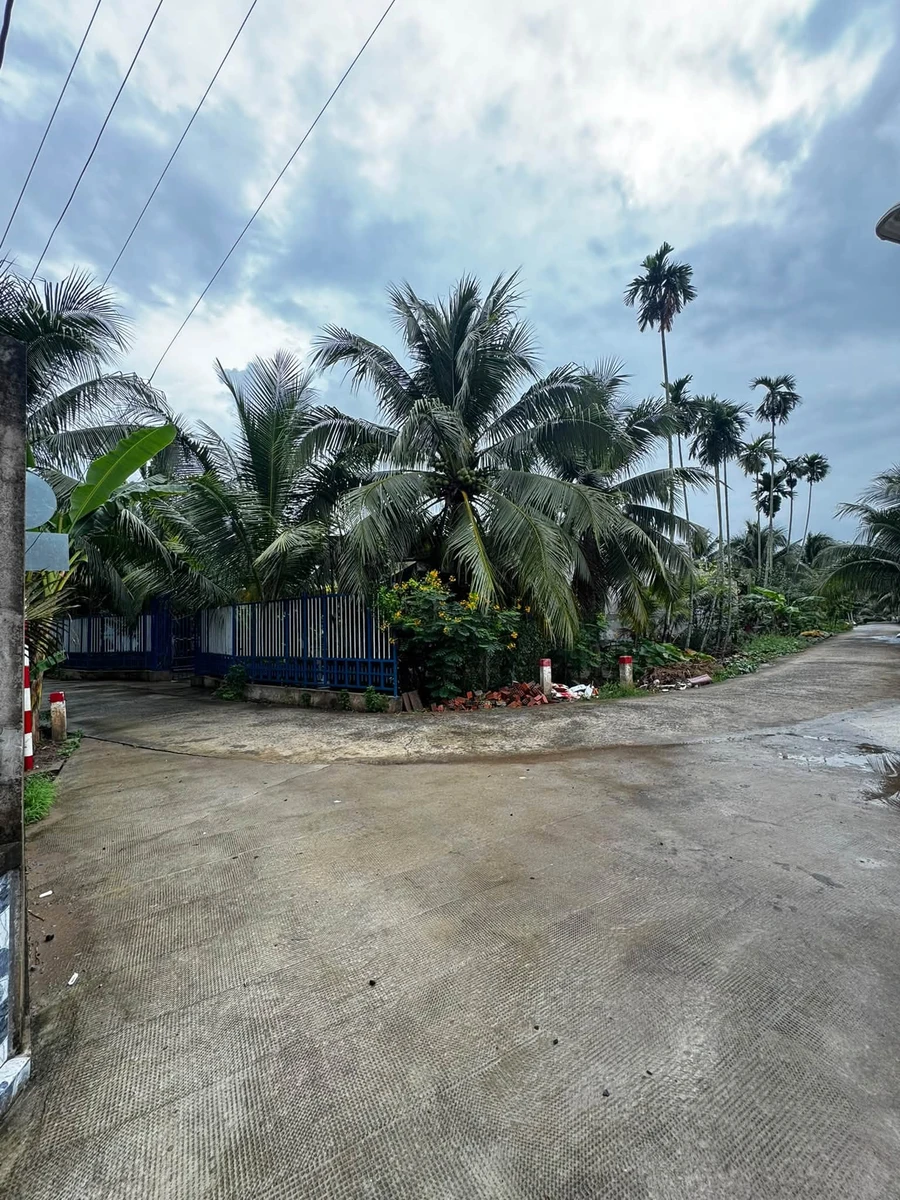 Bán đất vườn 2 mặt tiền 5.136m² Phước Thạnh - Ảnh thu nhỏ 2