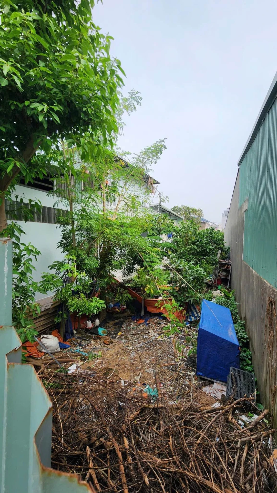 Bán lô đất 145m2 gần Nguyễn An Ninh Dĩ An, 4,2 tỷ - Ảnh 1