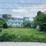 Vườn ngay trung tâm TP, ngay quảng trường sau lưng bệnh viện TP, giá tốt - Ảnh thu nhỏ 2