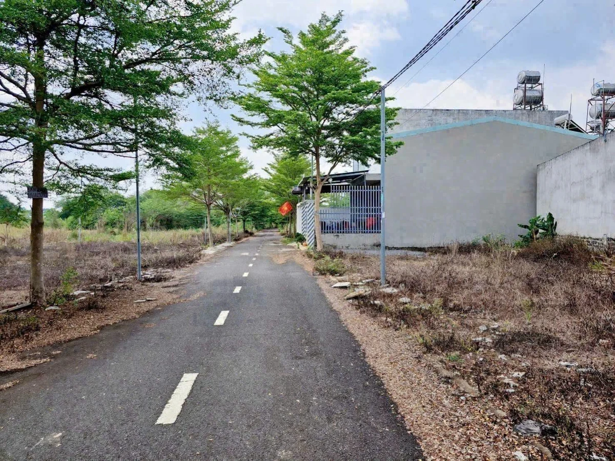 Bán lô đất 100m² Trảng Bom Bình Dương giá 700 triệu - Ảnh thu nhỏ 2
