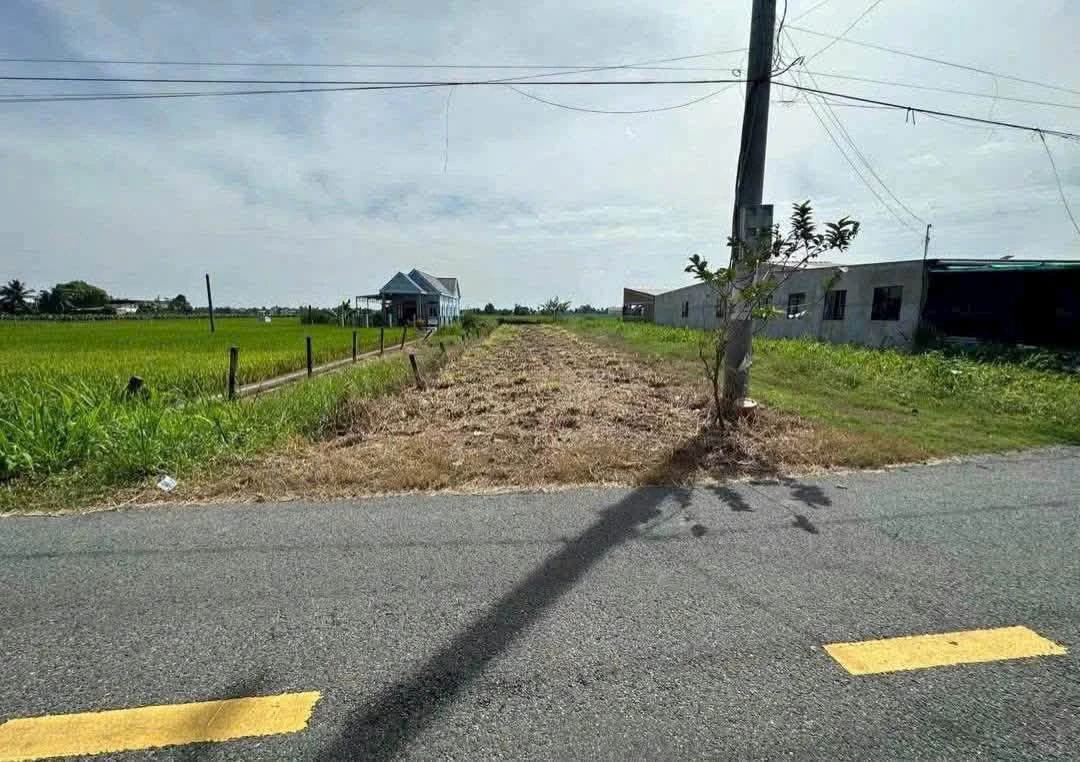 Bán đất Tân Trụ 250m² 1 tỷ 120 triệu, mặt tiền nhựa - Ảnh 1